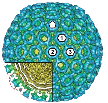 A review of the occurrence, antimicrobial resistance and health implications of Vibrio cholerae in African aquatic milieus, and the analysis of the impact of climate change on cholera outbreaks in Southern Africa